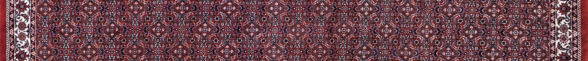 Bidjar Persian Carpet Rug N1Carpet Canada Montreal Tapis Persan 1950