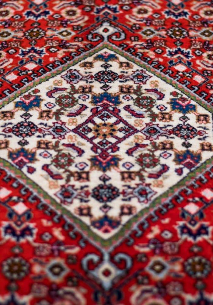 Bidjar Namdari Persian Carpet Rug N1Carpet