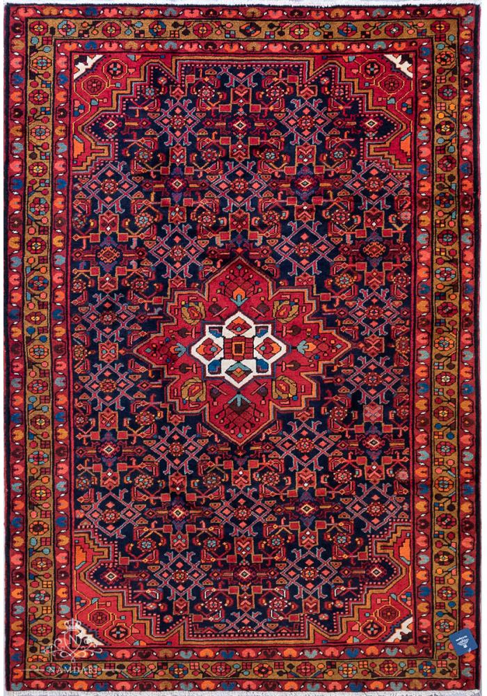 Hamadan Persian Carpet Rug N1Carpet Canada Montreal Tapis Persan 